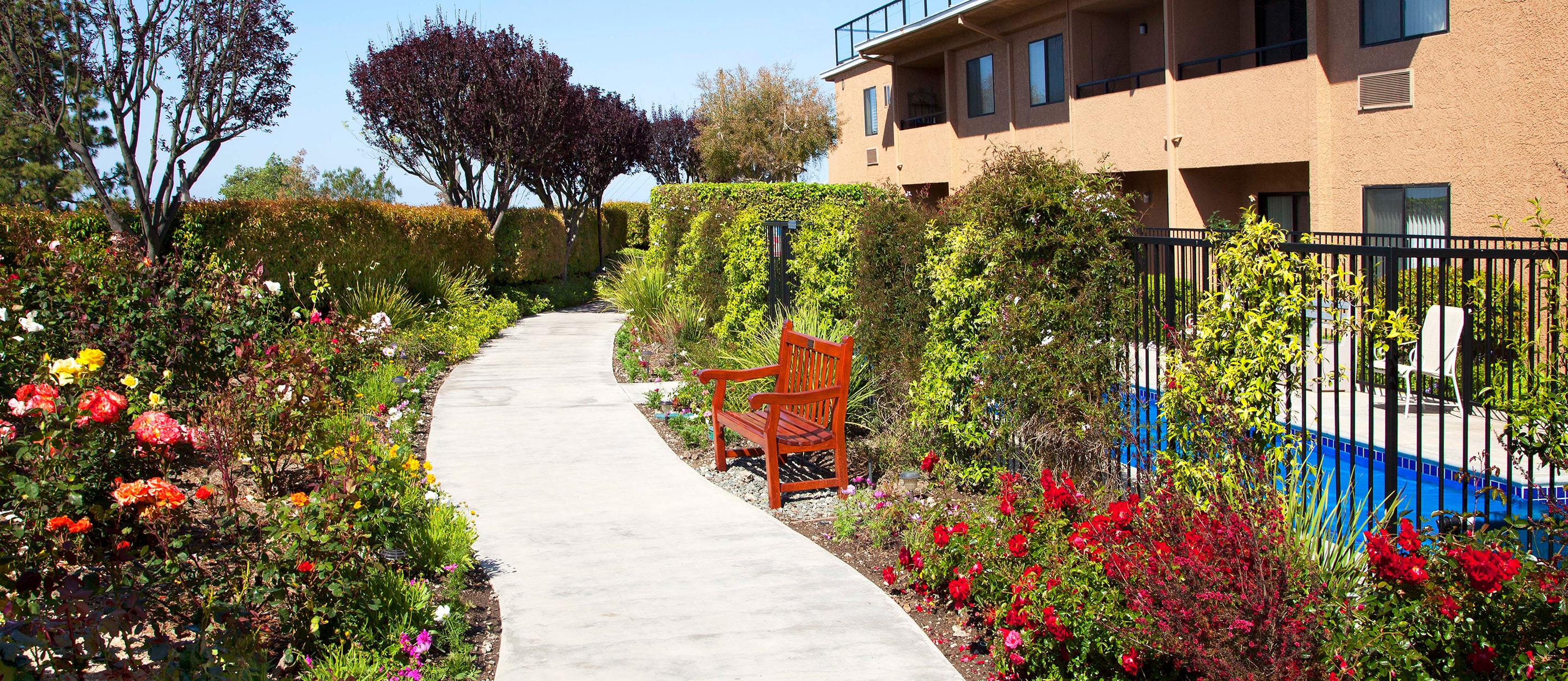 ECS_Canterbury-Hero_Rose-Garden-2 Enjoy senior independent living in Los Angeles on the walkway through our rose garden