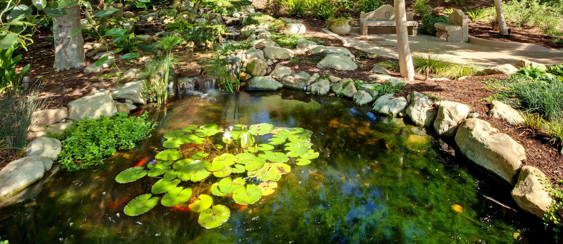 A tranquil garden pond surrounded by rocks and lush greenery, with lily pads floating on the water. A small waterfall flows into the pond, and a stone bench sits nearby on a shaded patio.