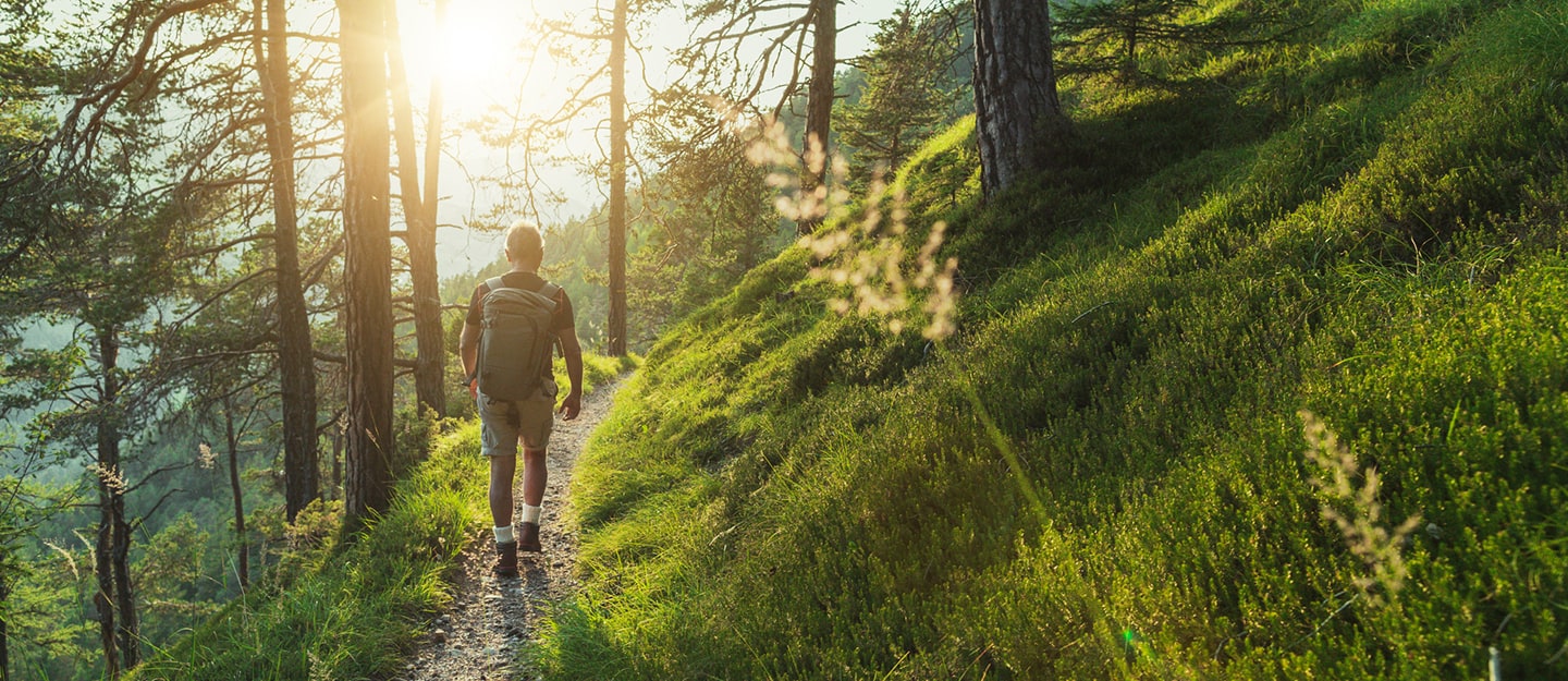 A person with a backpack walks along a narrow forest trail on a sunny day, surrounded by green grass, trees, and dappled sunlight filtering through the branches.