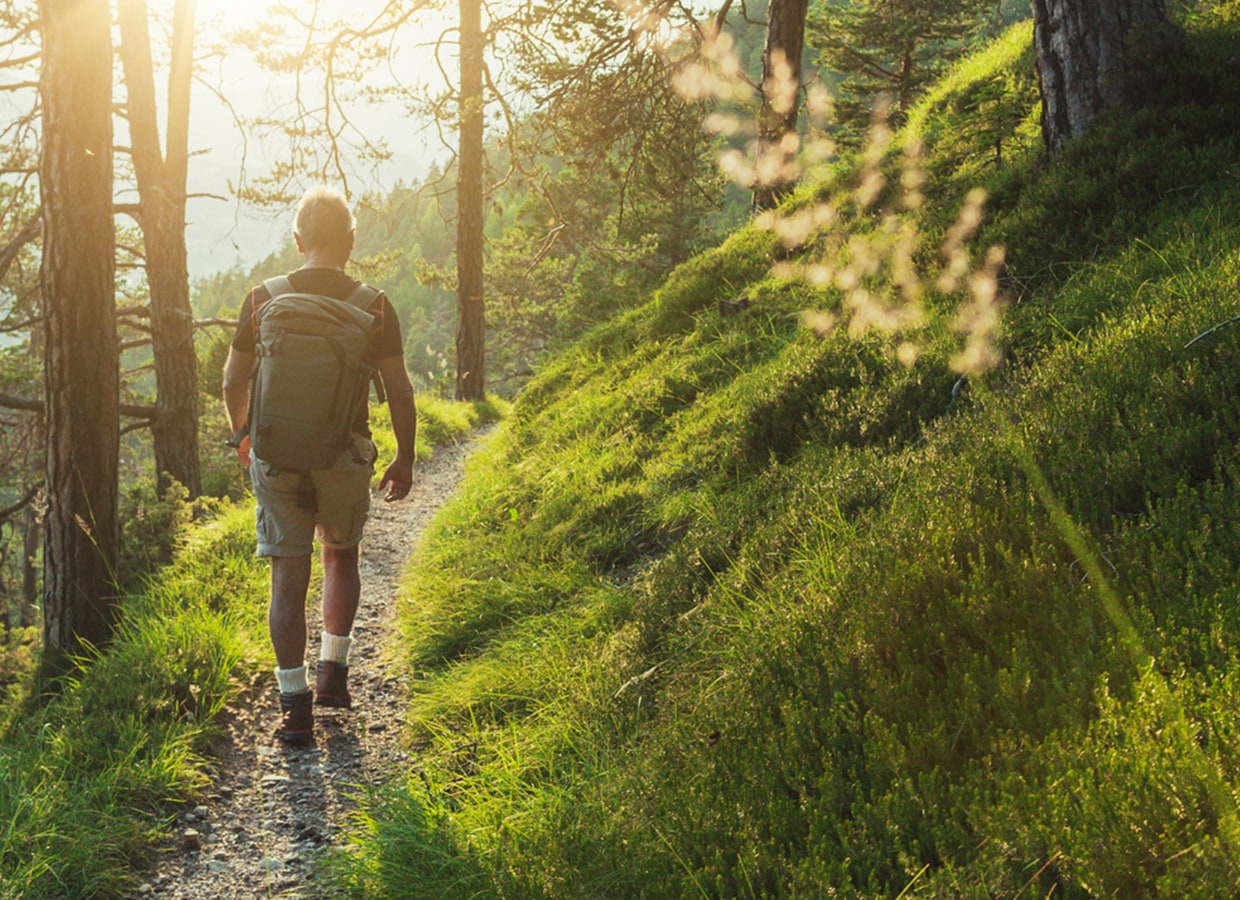 A person with a backpack walks along a sunlit, winding dirt path through a lush green forest, surrounded by tall trees and grass on a gentle slope. Sunlight filters through the trees, creating a peaceful atmosphere.