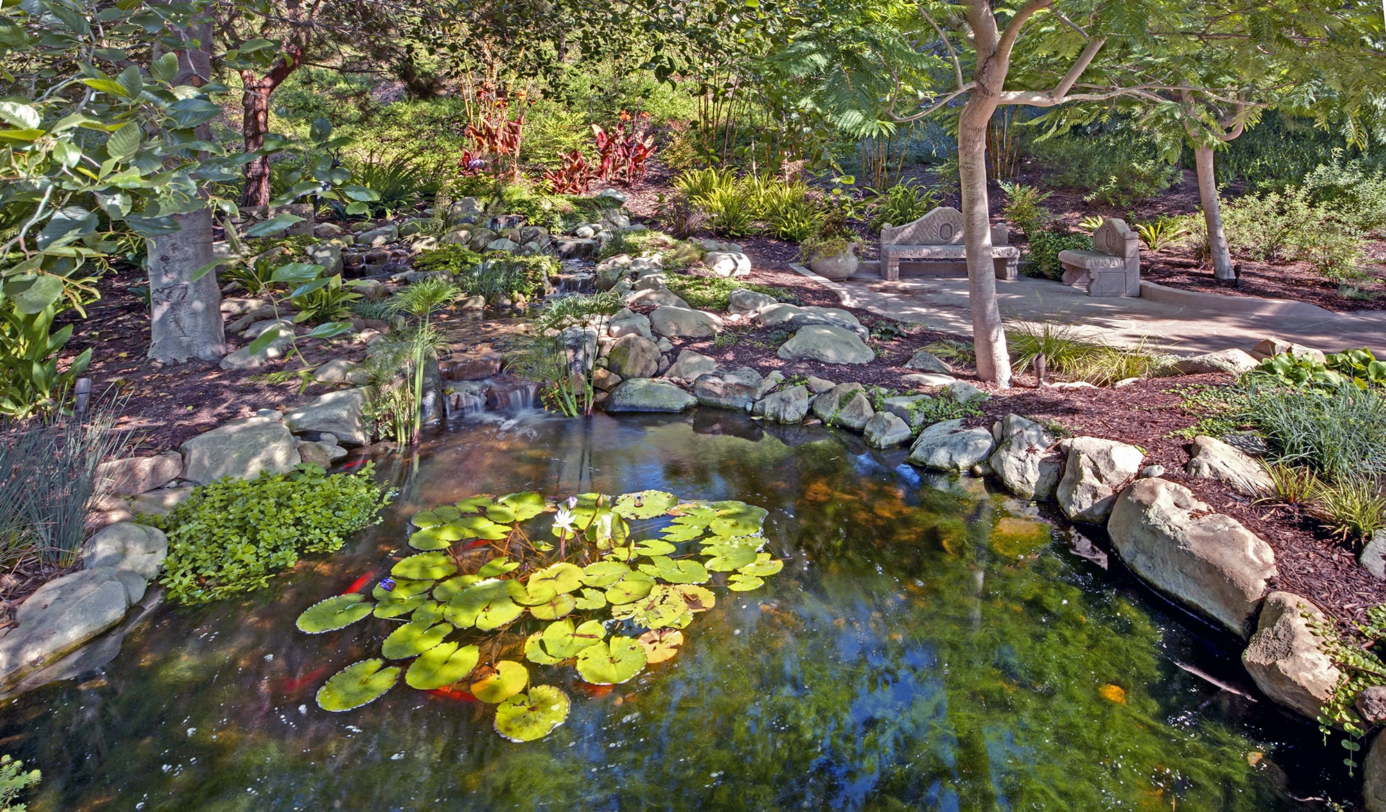 A tranquil garden scene with a pond bordered by rocks, water lilies floating on the surface, lush greenery surrounding it, and a stone bench under a tree on a paved area in the background.