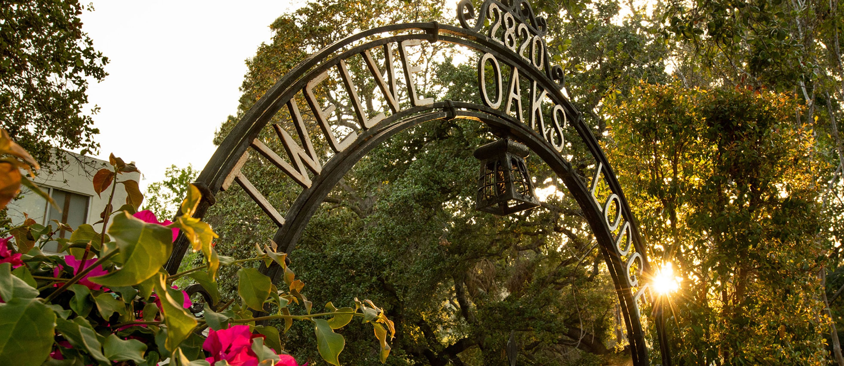 An iron archway with TWELVE OAKS written on it stands among trees and flowers, with sunlight shining through the branches in the background.