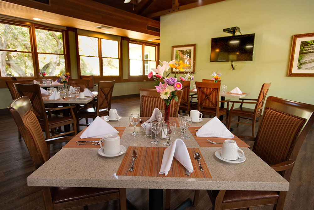 A neatly set dining table with white napkins, cups, glasses, and a colorful flower arrangement in a well-lit restaurant with wooden chairs and large windows.