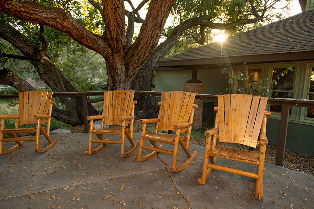 Four wooden rocking chairs sit on a stone patio under a large tree, with sunlight streaming through the branches. A house with large windows is visible in the background.