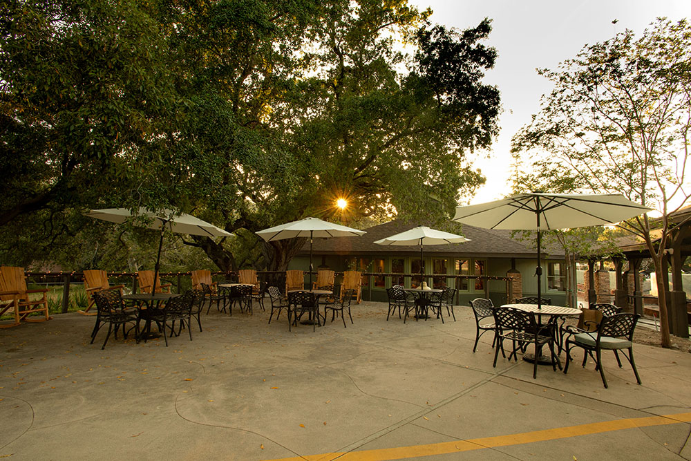 Outdoor patio with several round tables and chairs, shaded by large white umbrellas. Trees surround the area and sunlight filters through the branches. A building with windows is visible in the background.