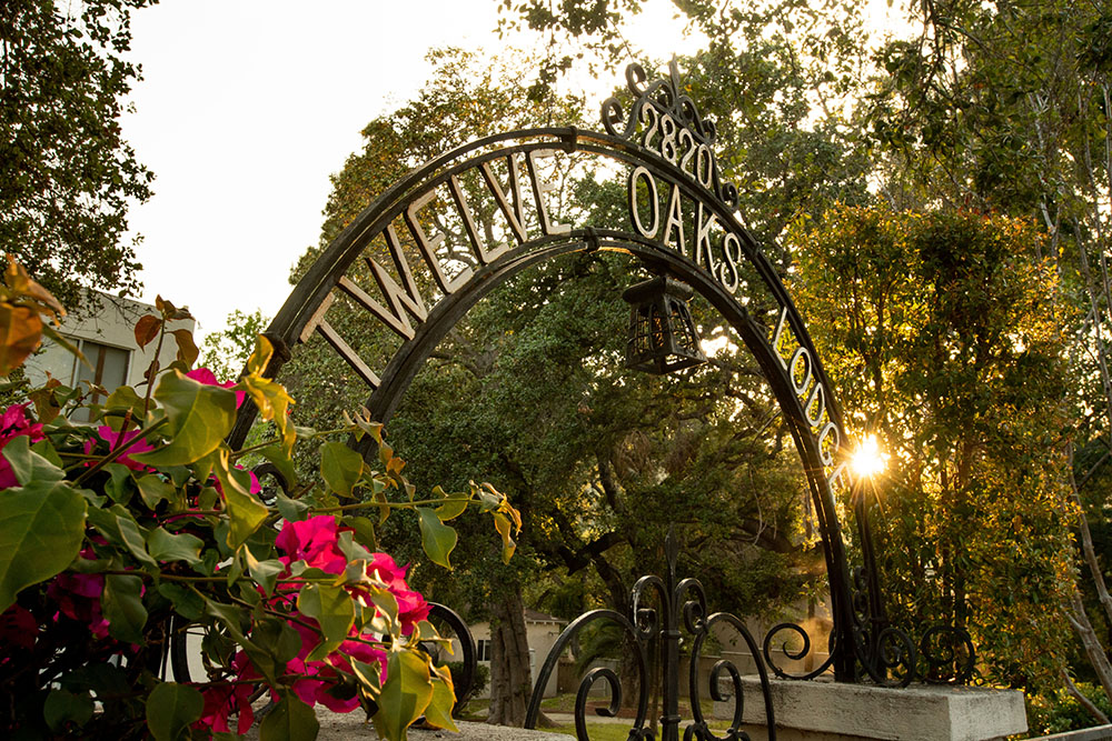 An arched metal sign reading TWELVE OAKS ZOO stands among green trees and blooming pink flowers, with sunlight shining through the branches in the background.