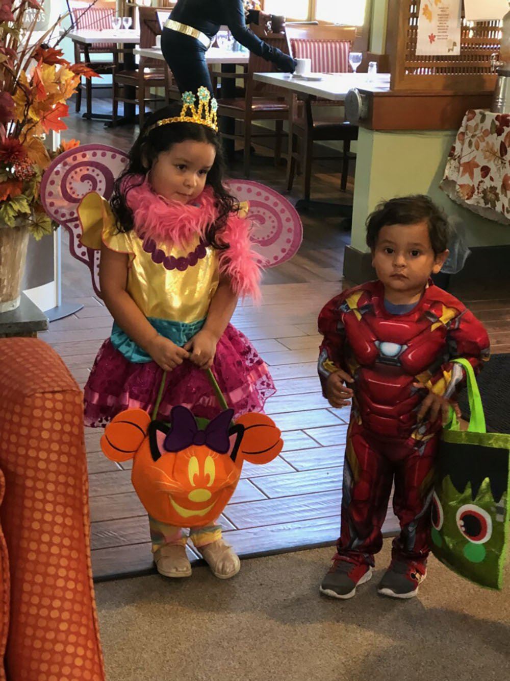 Two young children in Halloween costumes stand indoors. The girl is dressed as a fairy princess with wings, a tiara, and a pink feather boa. The boy wears an Iron Man costume. Both are holding trick-or-treat bags.