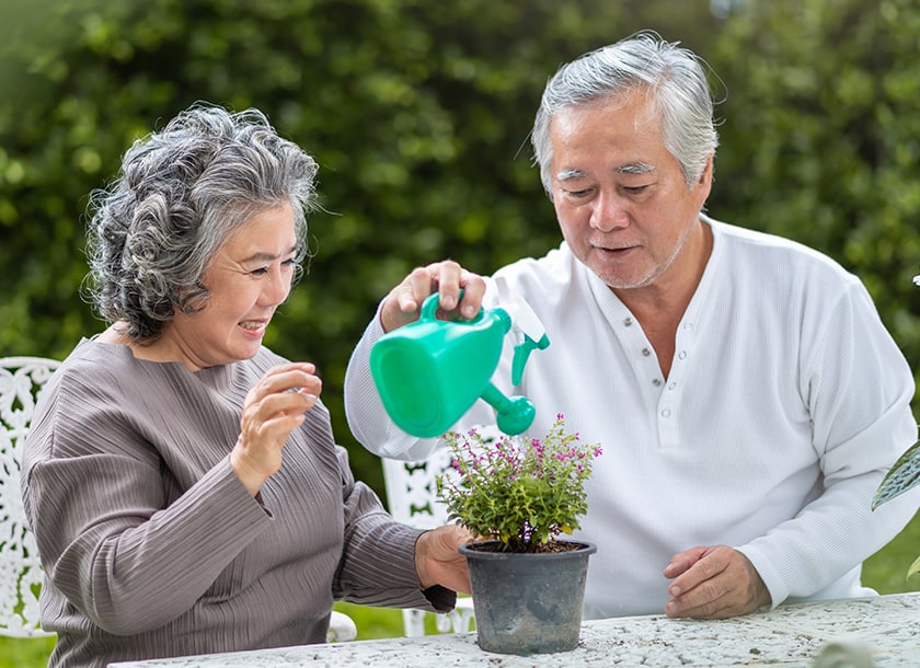 An older couple sits at a table outdoors, smiling while watering a small potted plant together. The man holds a green watering can, and the woman gently touches the plant. Lush greenery is visible in the background.
