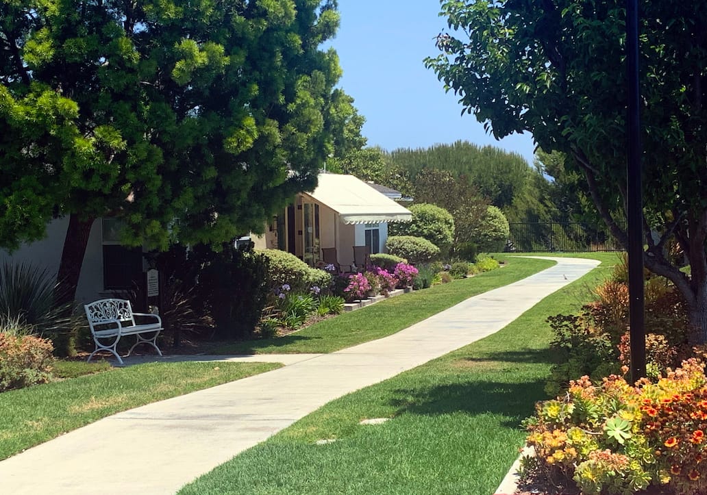 A sunny garden path lined with green grass, blooming flowers, shrubs, and trees curves past a white bench and a house with a shaded porch. The sky is clear and blue.