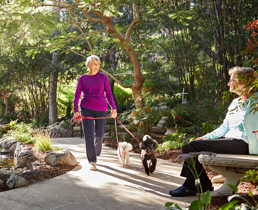 An older woman walks two small dogs on a garden path, while another older woman sits on a stone bench nearby. Sunlight filters through the trees and lush greenery surrounds them.