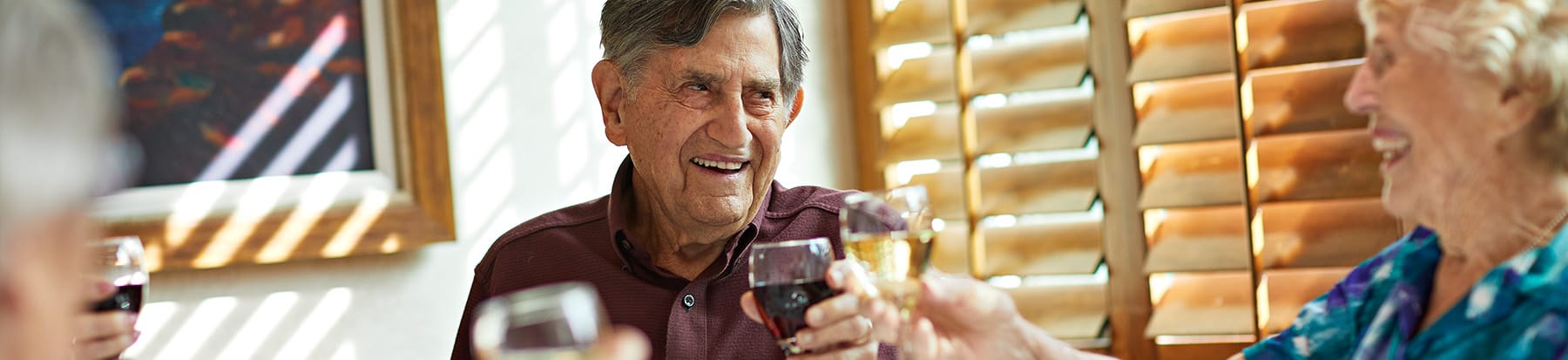 A group of older adults sit together indoors, smiling and raising glasses in a cheerful toast. Sunlight streams through wooden blinds behind them, creating a warm, inviting atmosphere.