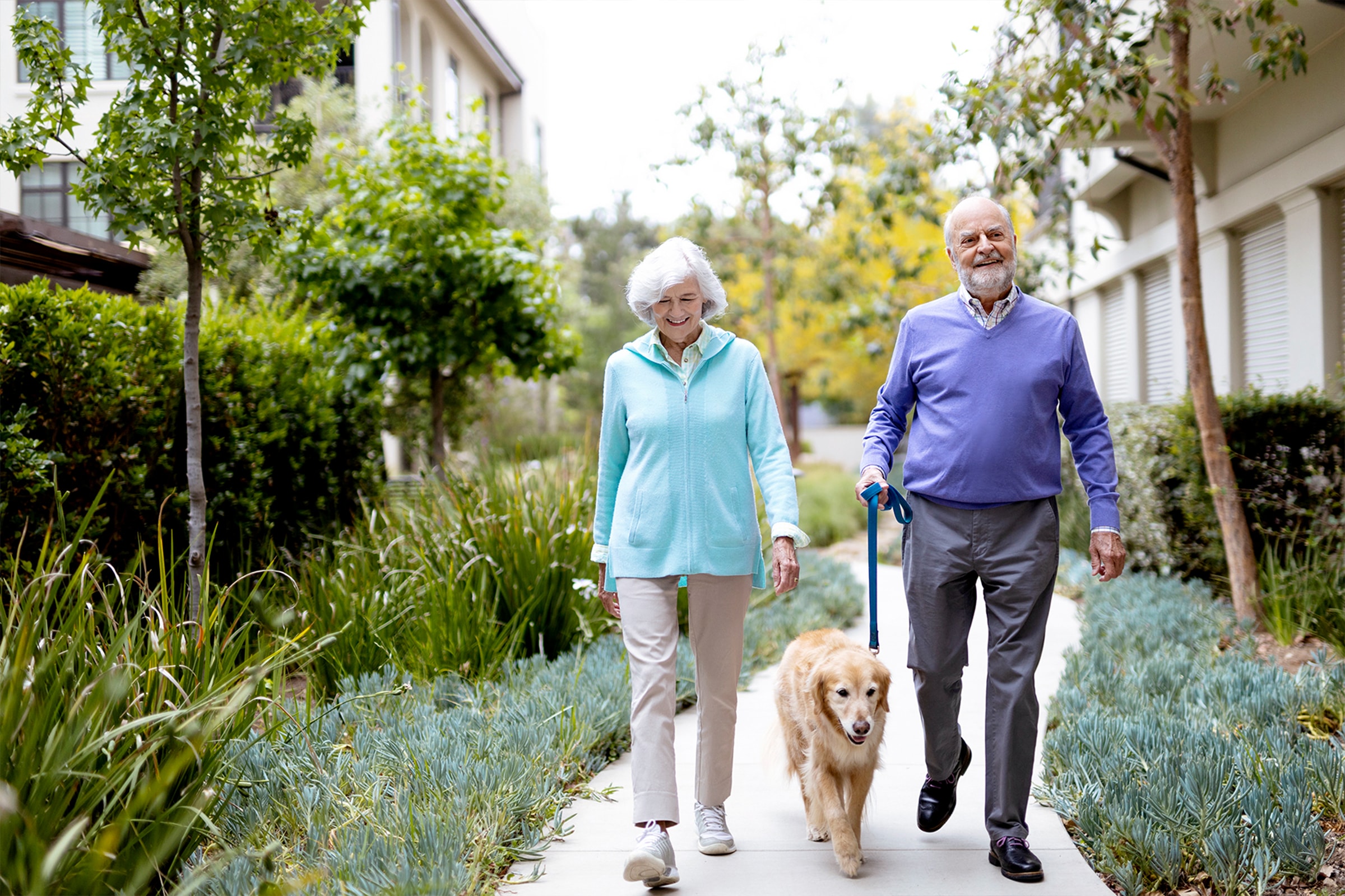 An elderly couple walks a golden retriever dog along a garden pathway, surrounded by greenery and apartment buildings, both smiling and dressed in light, casual clothing.