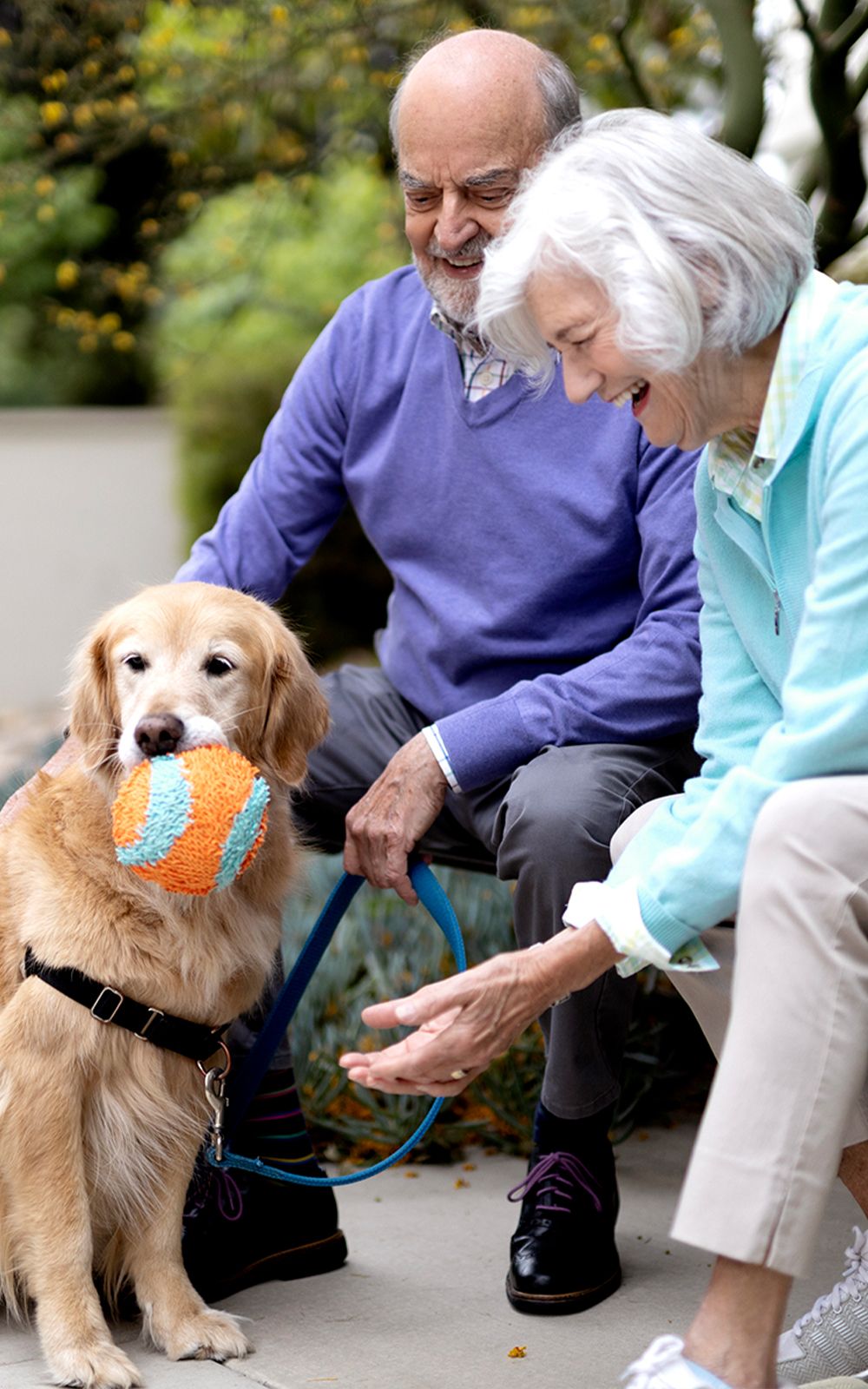 An elderly man and woman smile at a golden retriever holding a colorful ball in its mouth. The group is outdoors, enjoying a playful moment together on a sidewalk surrounded by greenery.