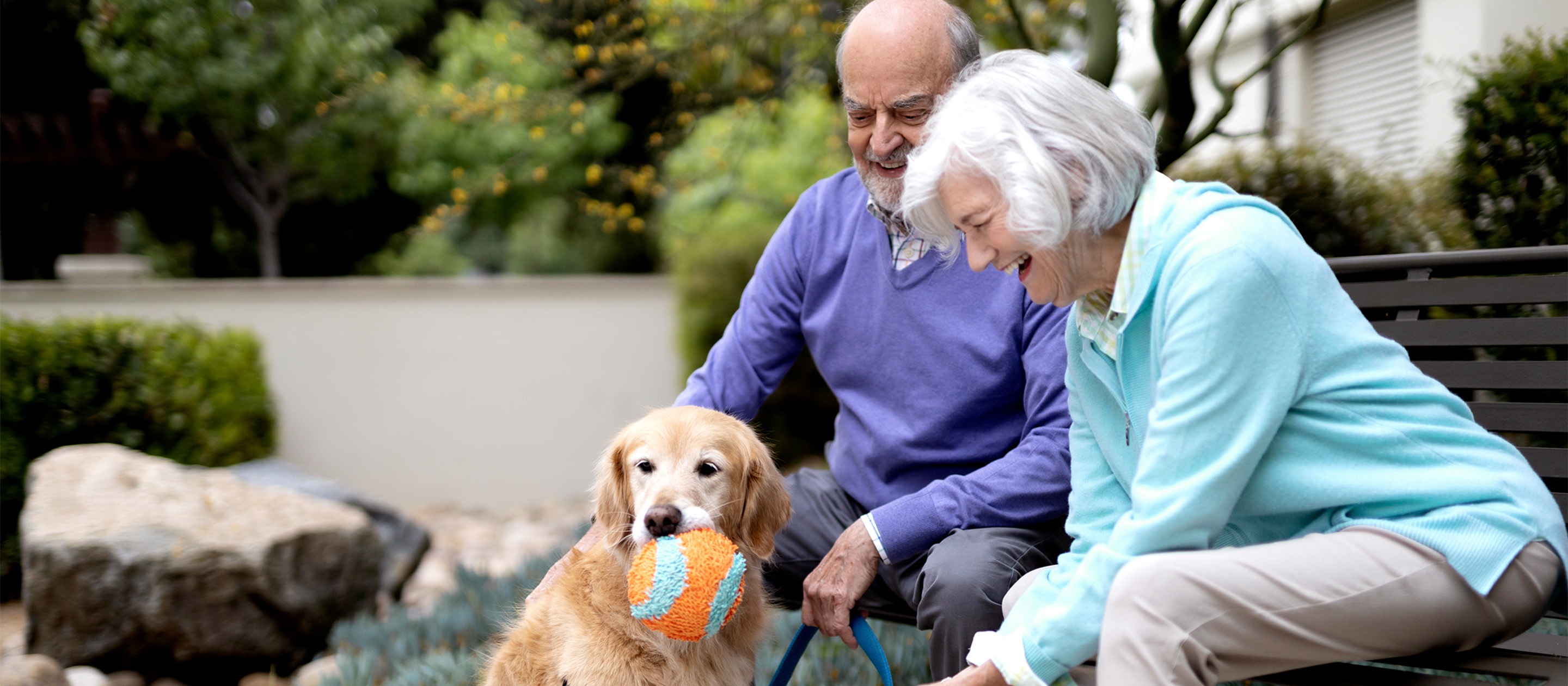 An older couple sits on a bench outdoors, smiling and playing with their golden retriever, who holds a colorful ball in its mouth. Trees and shrubs are visible in the background.