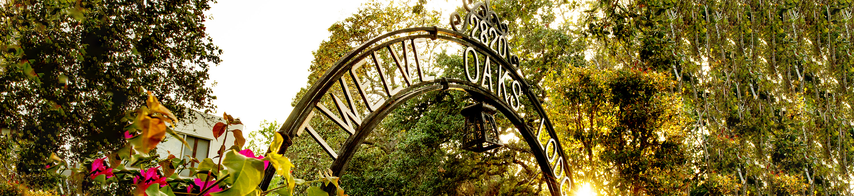 Curved metal archway reading “Wesleyan College” surrounded by trees and foliage, with sunlight filtering through the leaves in the background.
