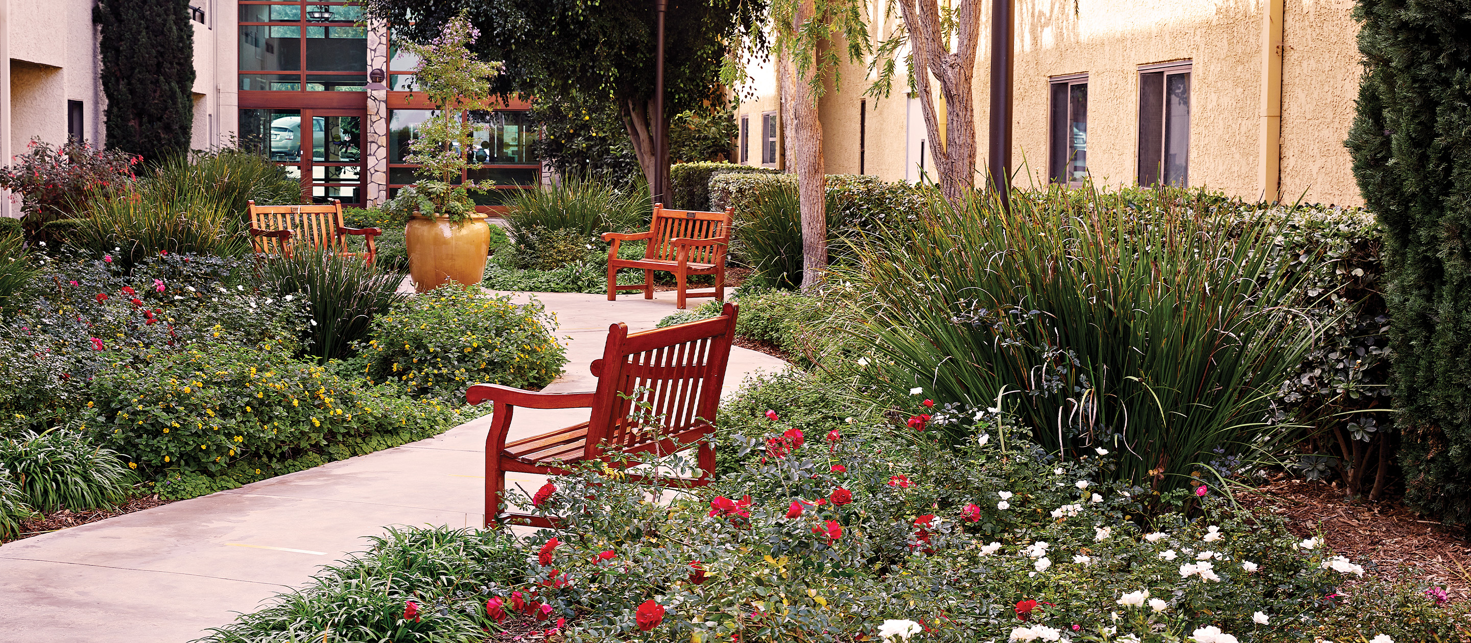 A paved garden pathway lined with red benches winds through lush greenery and blooming flowers, beside a yellow building with windows, under shade trees.