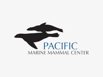 Logo with two black silhouettes of seals swimming above the blue text PACIFIC and black text MARINE MAMMAL CENTER on a white background.