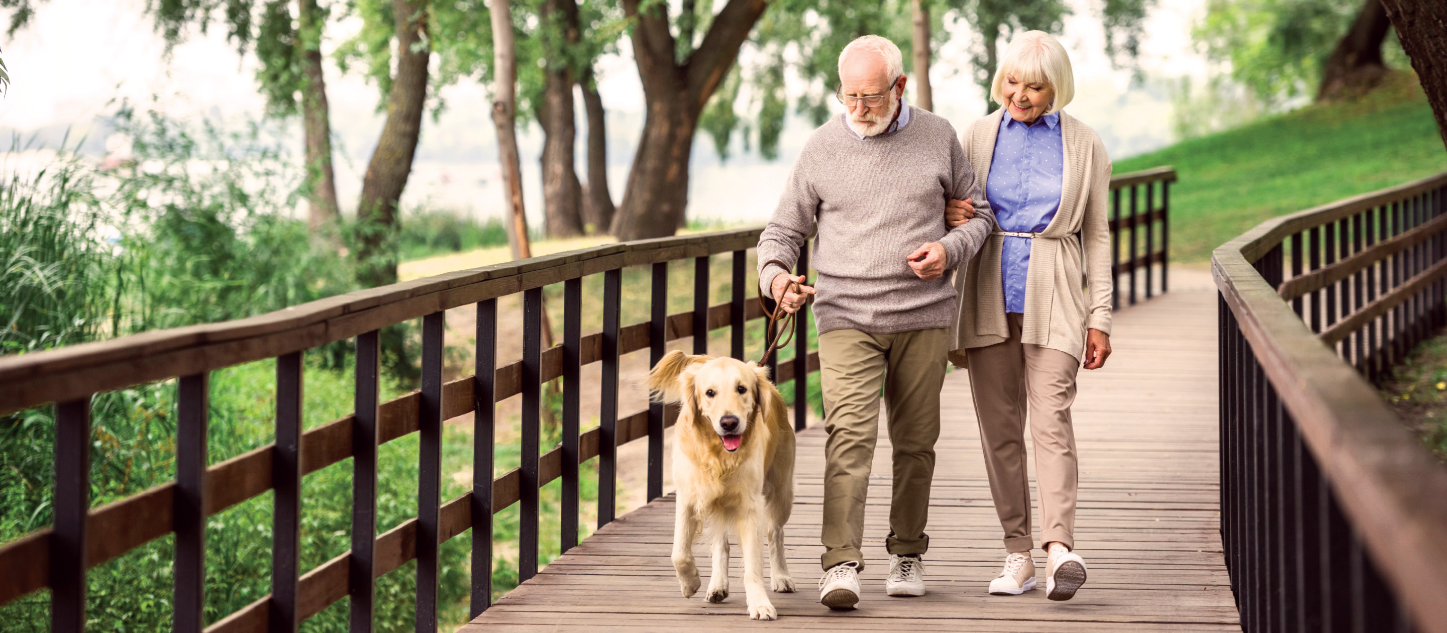 An elderly couple walks arm in arm on a wooden pathway, smiling, with a golden retriever dog on a leash. Trees and greenery surround them, creating a peaceful, outdoor setting.
