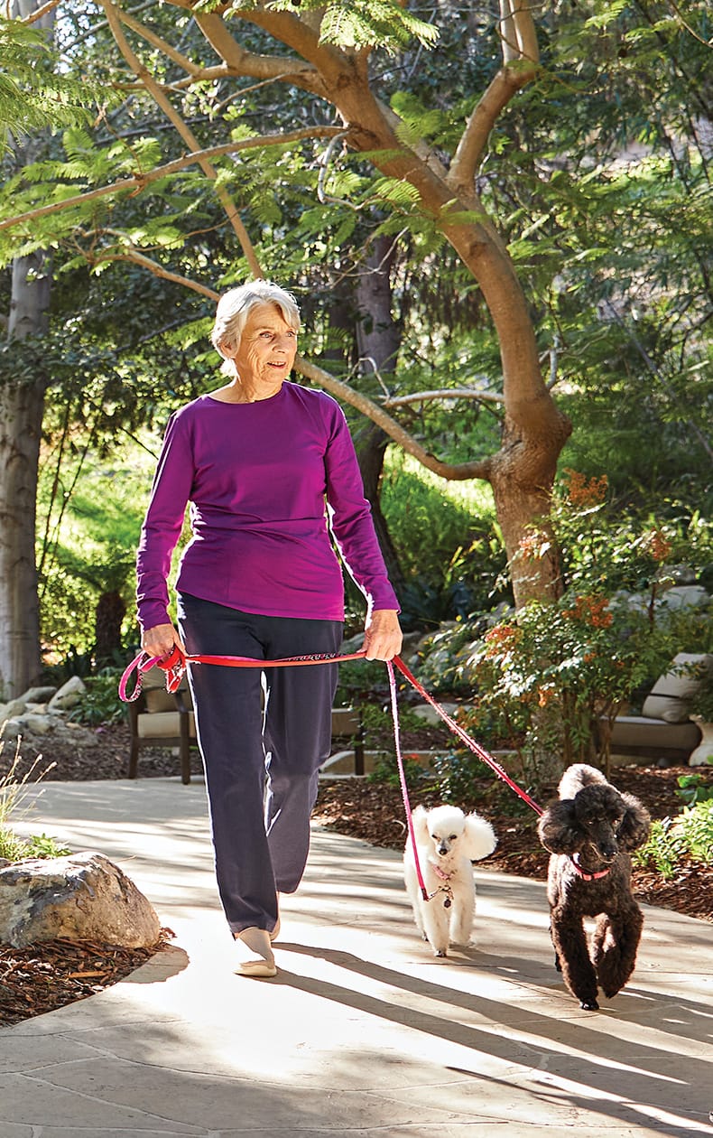An older woman in a purple top and navy pants walks two small poodles on leashes along a sunlit garden path, surrounded by greenery and trees.