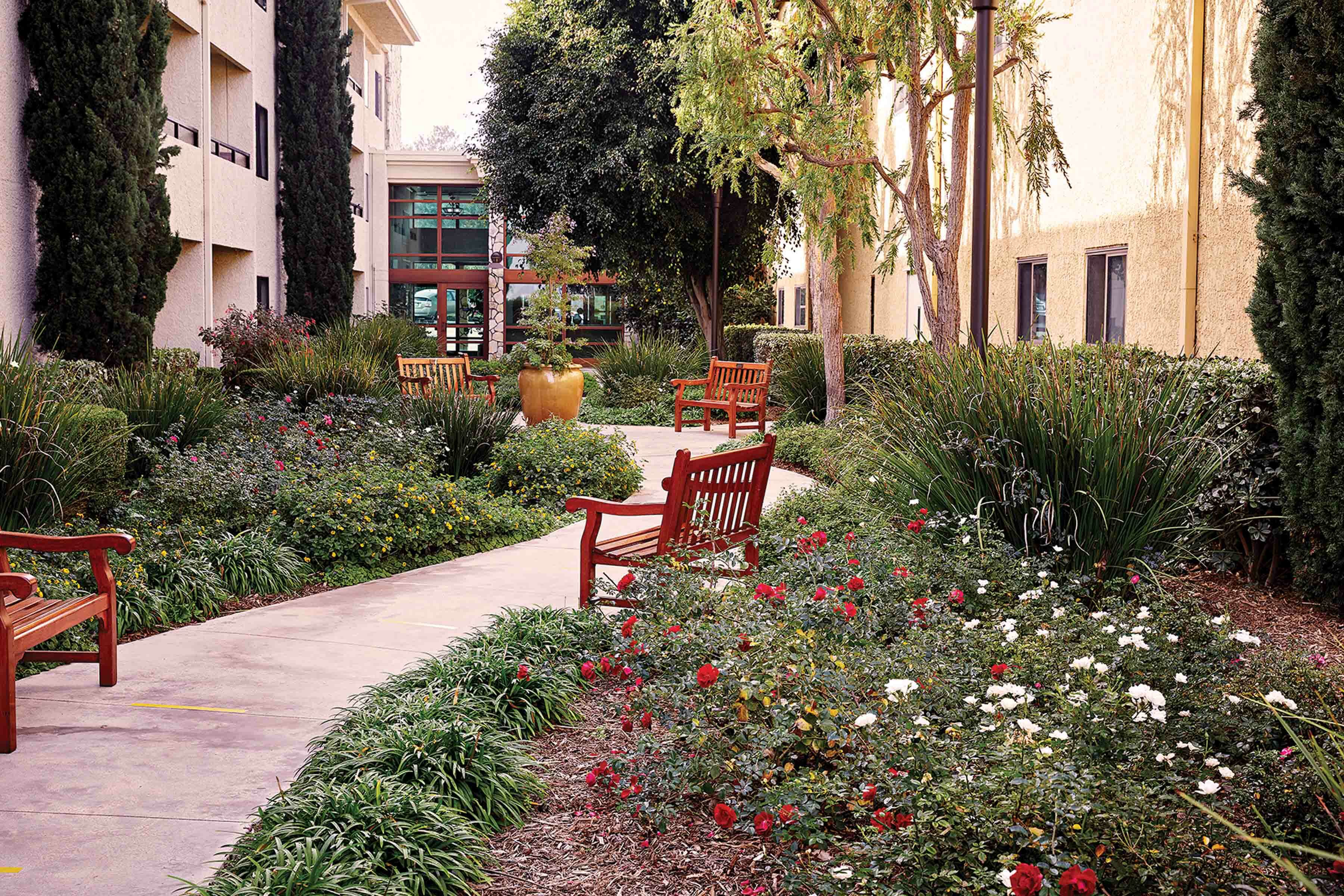 A landscaped garden with red benches, flowering bushes, and tall trees. A curved walkway winds through the greenery, and buildings with windows flank each side of the garden.