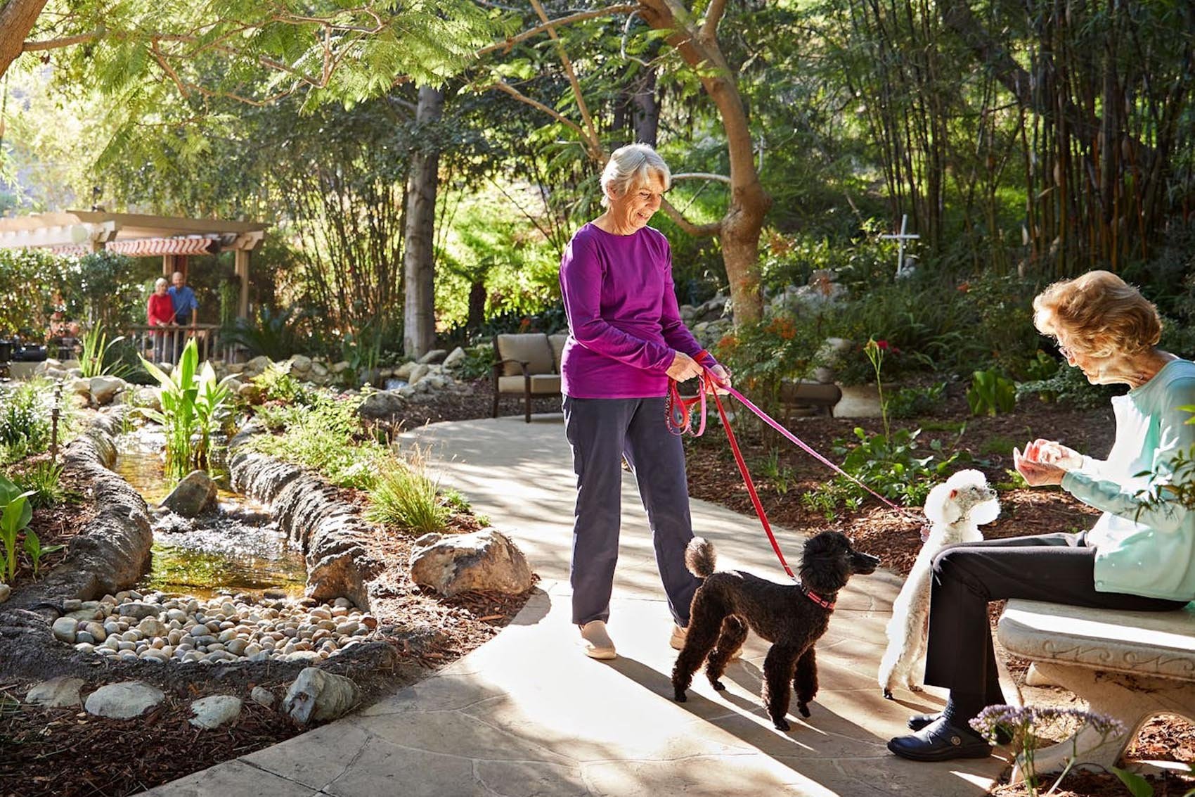 Two older women enjoy a sunny garden; one stands holding leashes for a black and a white dog, while the other sits on a bench, smiling and petting the white dog. A small stream runs beside the path.