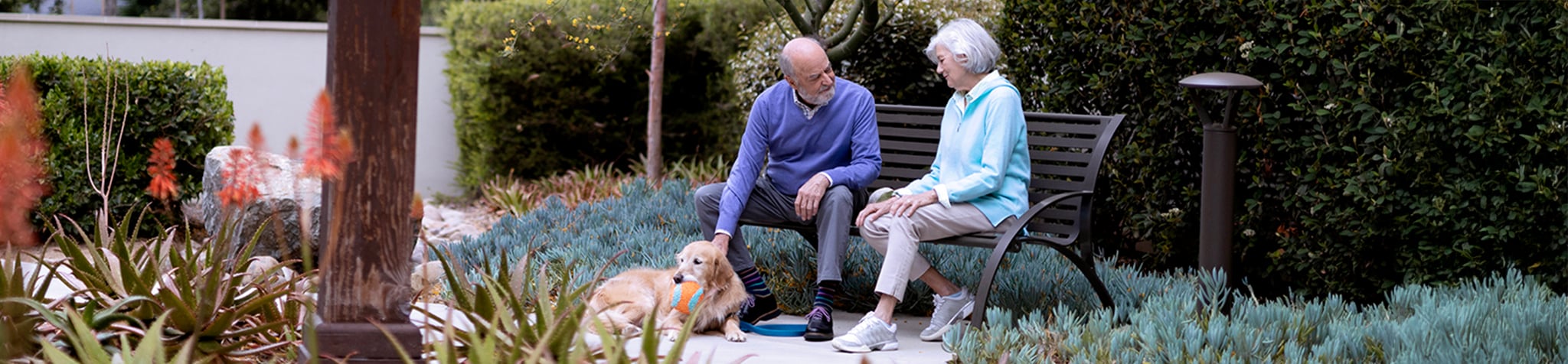An elderly man and woman sit on a garden bench, talking. A golden retriever lies at their feet. They are surrounded by green shrubs and plants, creating a peaceful outdoor setting.