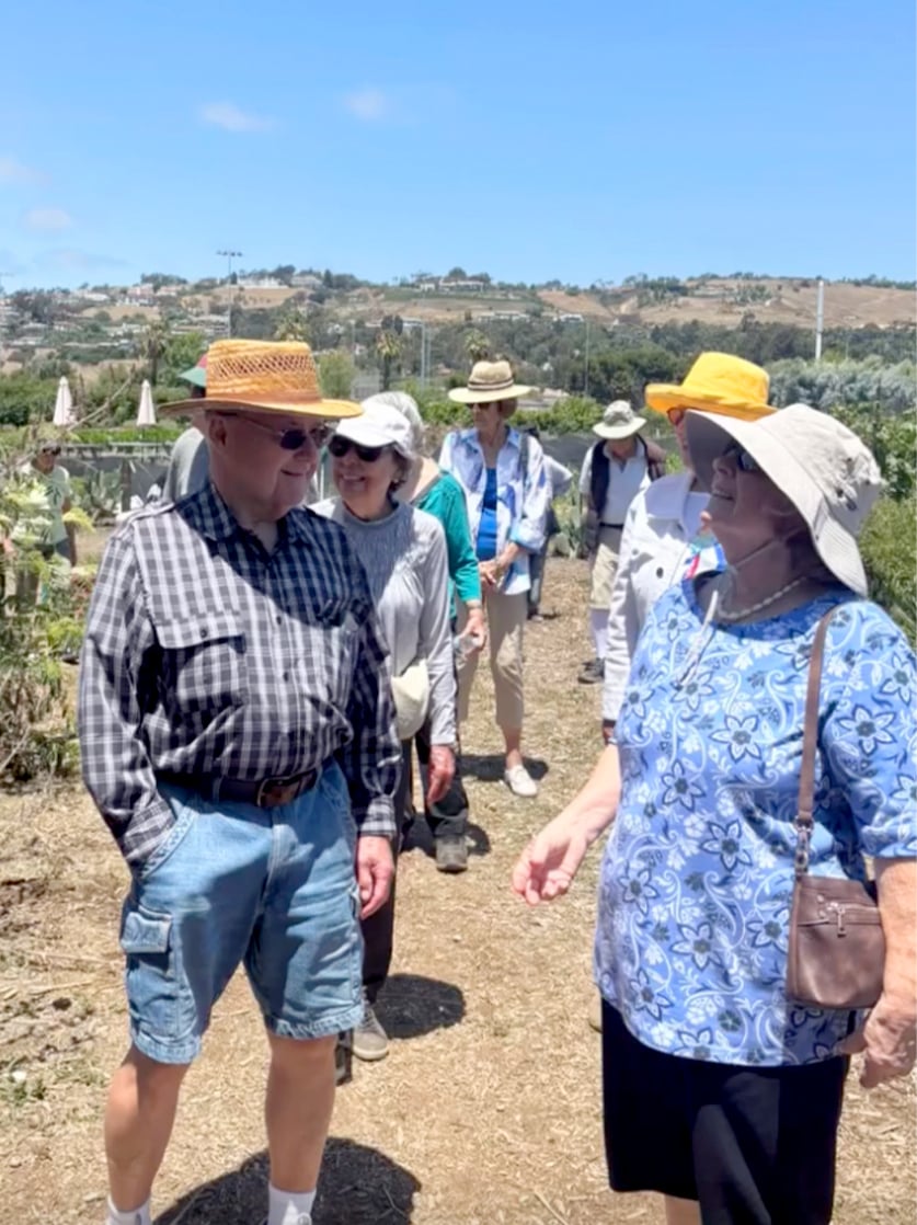 A group of older adults wearing hats and casual clothes walk together outdoors on a sunny day, smiling and talking, with greenery and hills in the background.