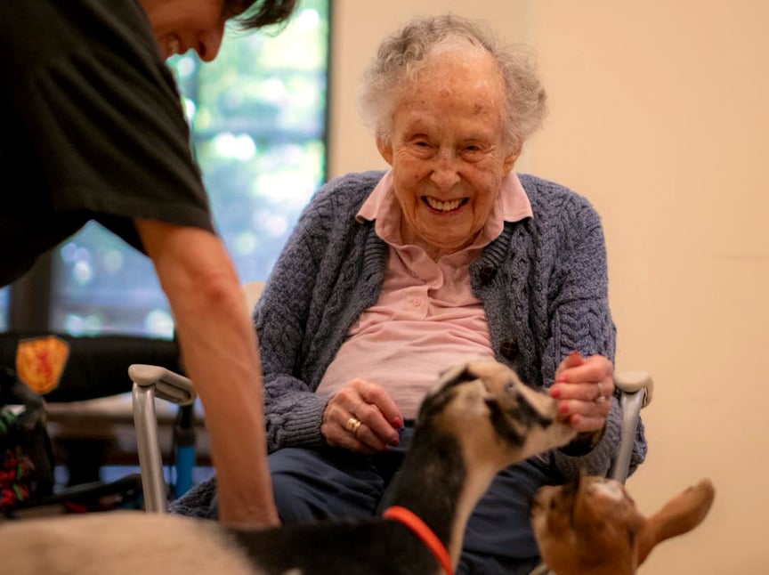 An elderly woman sitting and smiling joyfully as she interacts with two small goats, while another person assists nearby. The setting appears to be indoors with natural light coming through a window.