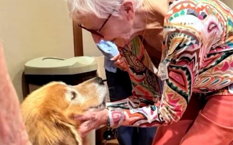 An elderly woman with short gray hair and glasses smiles warmly as she gently holds the face of a golden retriever, looking into the dogs eyes. The background shows a trash can and another person partially visible.