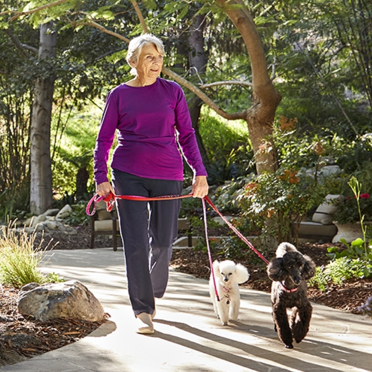 An older woman wearing a purple long-sleeve shirt and dark pants walks two small poodles, one white and one black, on leashes along a garden path surrounded by trees and greenery.