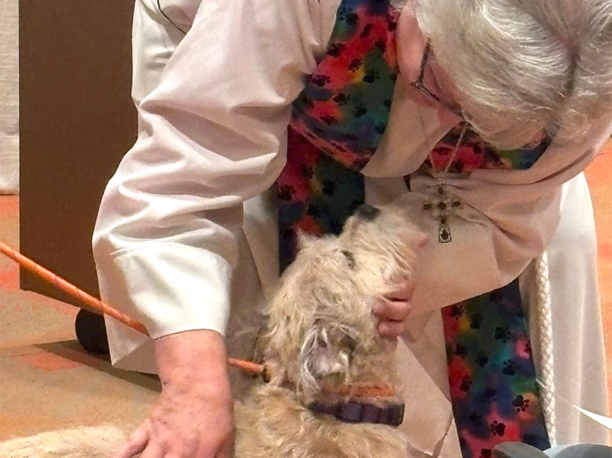 A person in religious attire with a colorful stole bends down to gently bless or touch a light-colored dog, which is looking up at them affectionately.