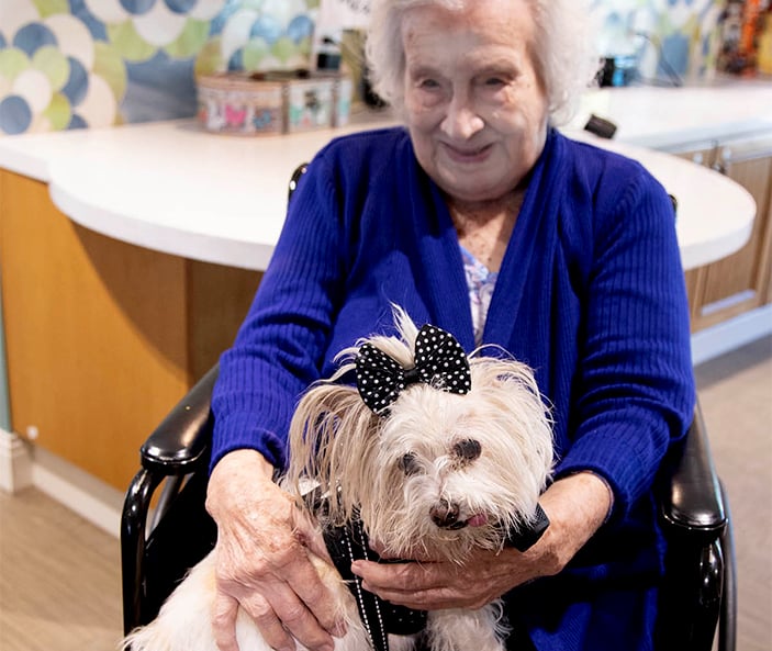 An elderly woman with white hair, wearing a blue sweater, sits in a wheelchair and smiles while holding a small dog with a black and white bow on its head. The setting appears to be indoors.