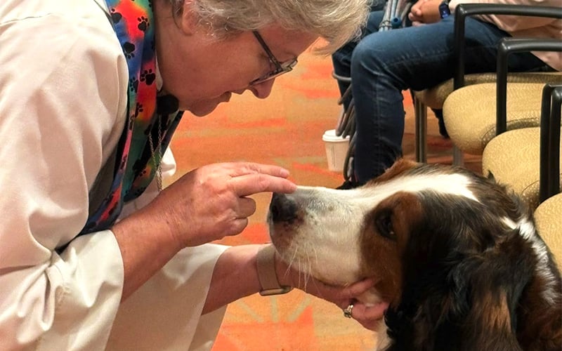 A woman wearing glasses and a colorful stole gently holds and blesses a large dog, touching its nose, in a room with yellow chairs and people in the background.