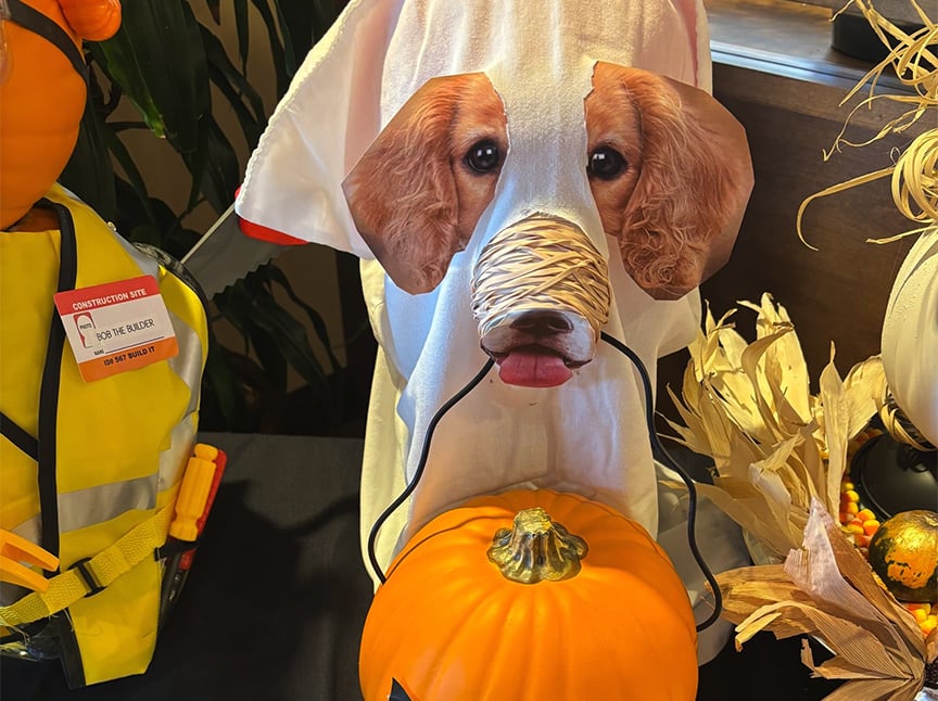 Screenshot A dog dressed in a ghost costume with floppy dog ears and a nose printed on the fabric, holding a black handle in its mouth attached to an orange pumpkin bucket, surrounded by fall decorations.
