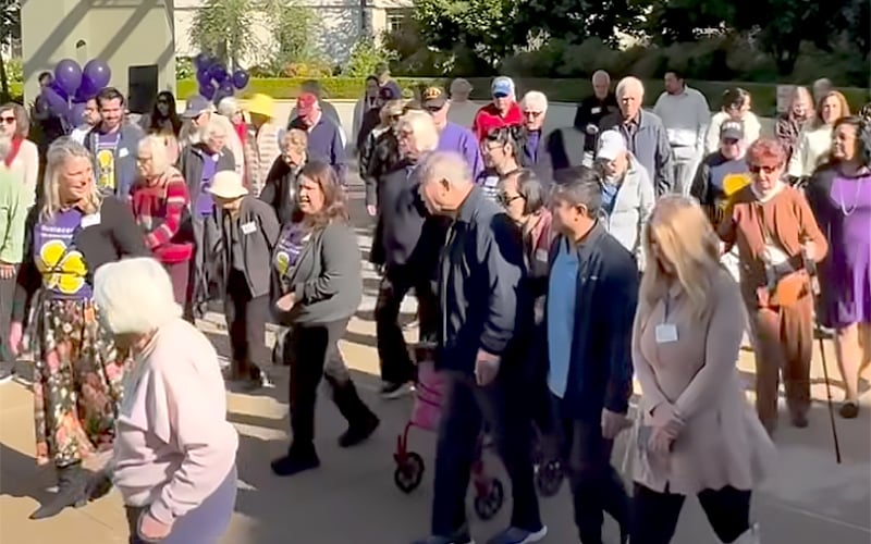 A diverse group of people, including seniors, walk together outdoors on a sunny day. Some wear purple shirts and name tags, and there are balloons and greenery in the background.