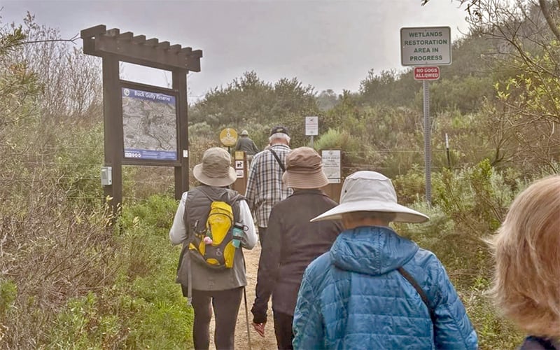 people walking on hiking trail