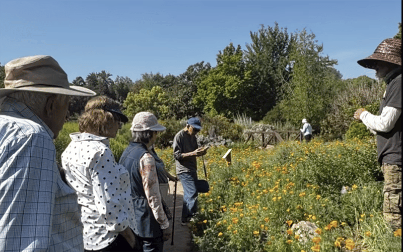 A group of people wearing hats stands on a garden path, watching a man give a talk beside blooming orange and yellow flowers under a clear blue sky. Trees and shrubs fill the background.