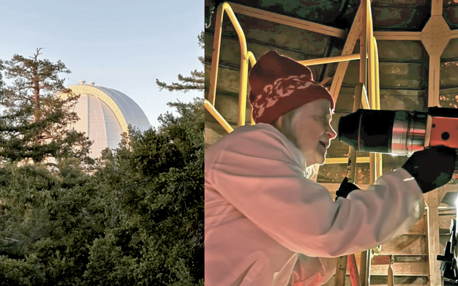 On the left, a large white observatory dome rises above treetops. On the right, a person in a red hat and pink jacket looks through a telescope inside a wooden structure.
