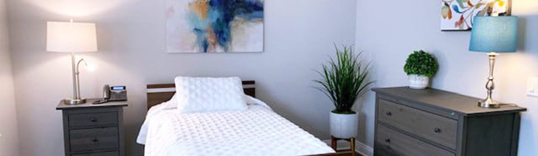 single bed with dressers and plants