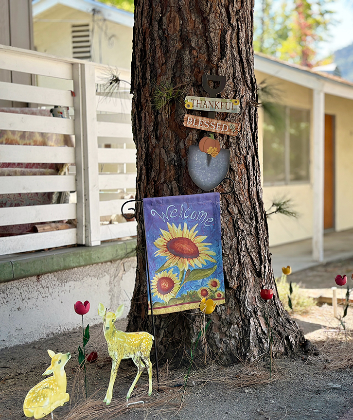 tree with outdoor decorations