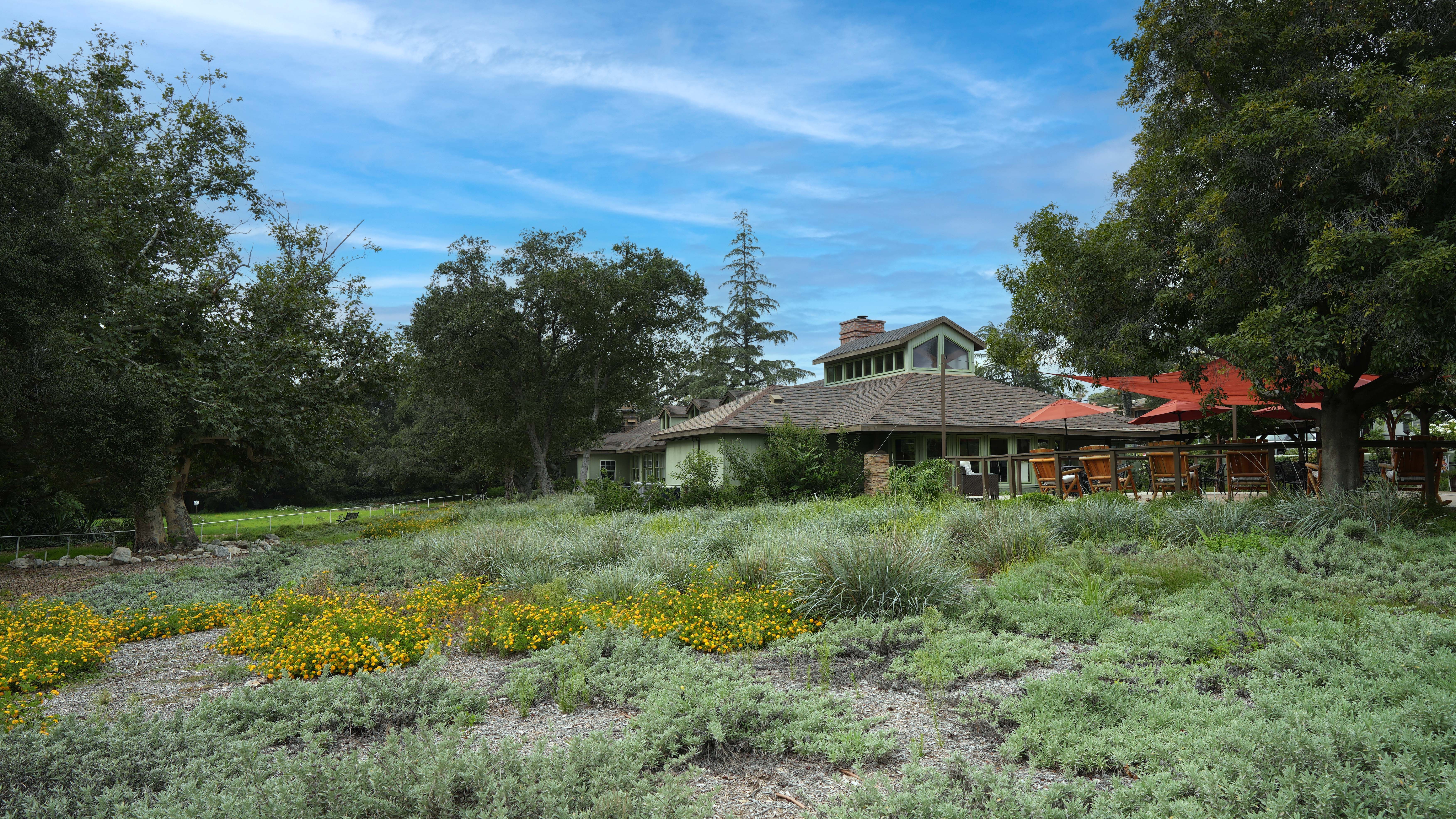 outdoor view of twelve oaks senior living