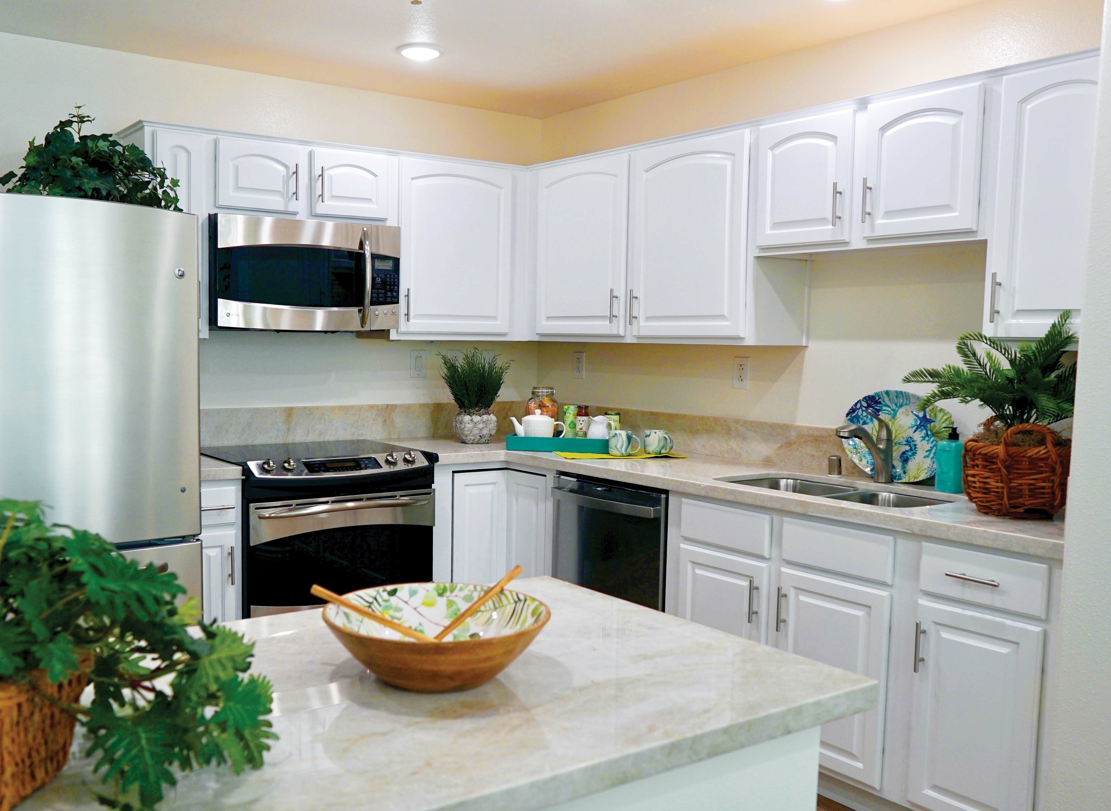 Kitchen with bowls, mugs, and plants