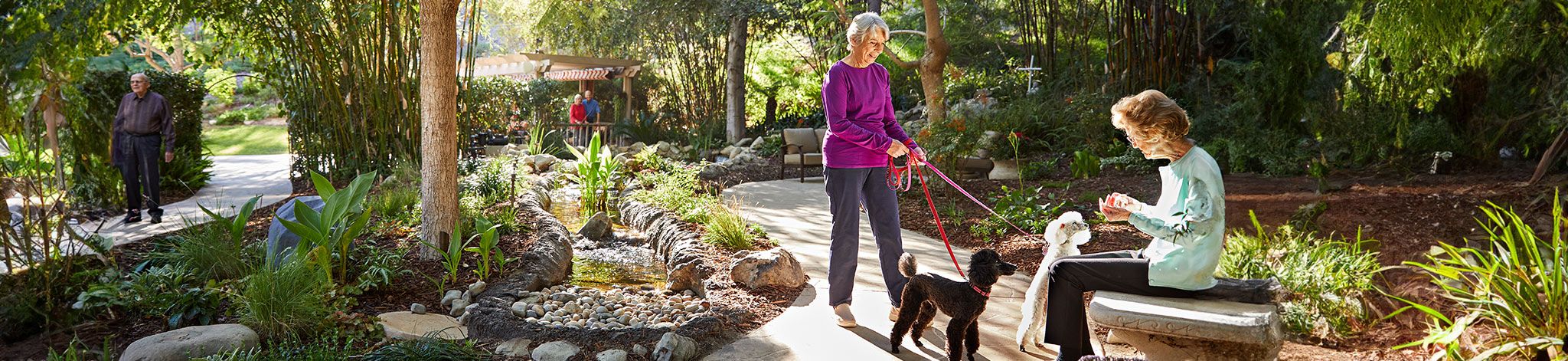 two seniors in outdoor garden converse while walking dogs