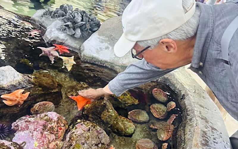 CAN_08_Story_Aquarium oft Pac