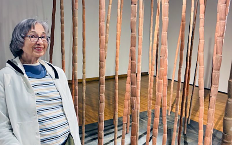 CAN_10_Story_Mus Of LatinAmer Art