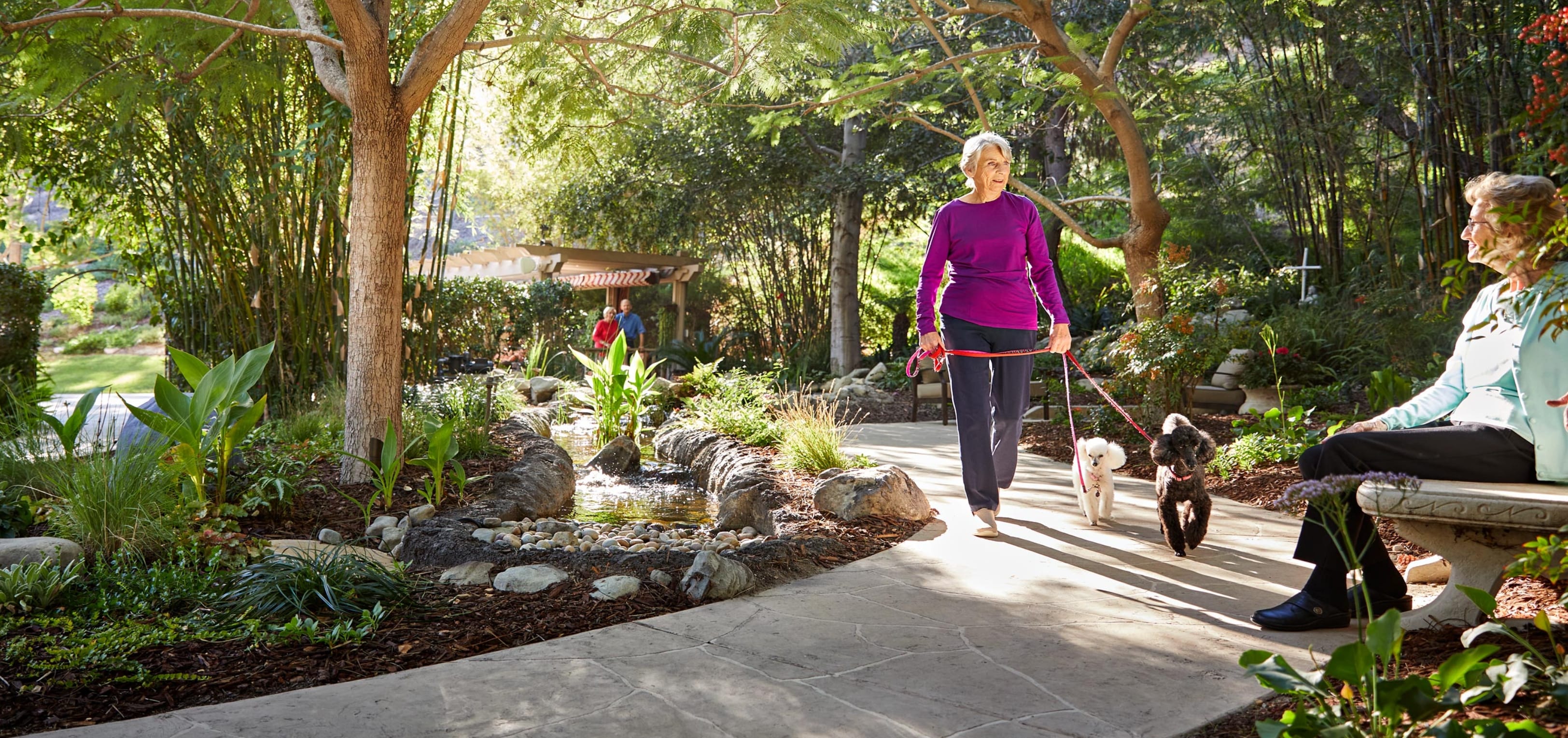 woman walking two dogs on garden path while another woman sits on bench