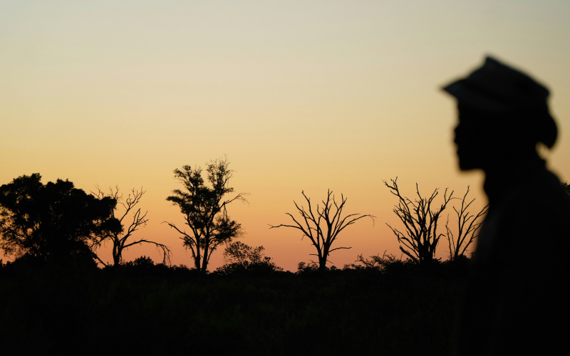 A silhouette of a person in the foreground with trees and bushes against an orange and yellow sunset sky in the background.