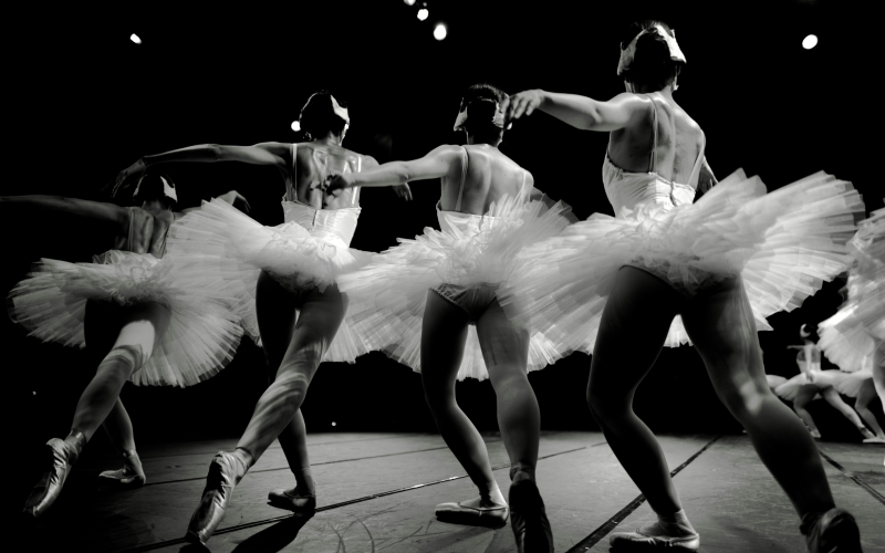 Four ballet dancers in white tutus and pointe shoes perform on stage under dramatic lighting, arms gracefully extended and backs to the audience. The scene captures synchronized movement and elegance.