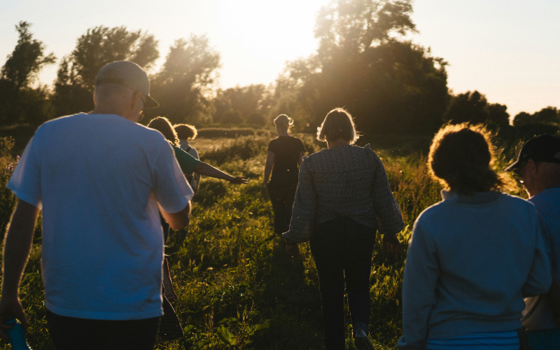 A group of people walk together through a grassy field at sunset, with sunlight streaming through trees in the background. The figures are mostly in shadow, creating a warm and relaxed atmosphere.