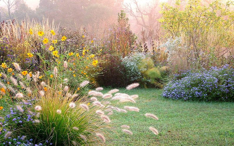 A sunlit garden with various blooming flowers, tall grasses, and green plants. The morning light creates a soft, misty atmosphere, highlighting the vibrant colors and peaceful setting.